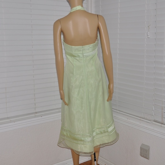 Organza Tea-Length Dress w/ Satin Ribbon Detailing - Picture 6 of 8